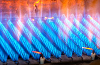 Waterhales gas fired boilers